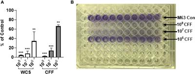 Different Concentrations of Lactobacillus acidophilus Cell Free Filtrate Have Differing Anti-Biofilm and Immunomodulatory Effects